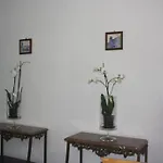 Guest house Infante Dom Henrique Coimbra